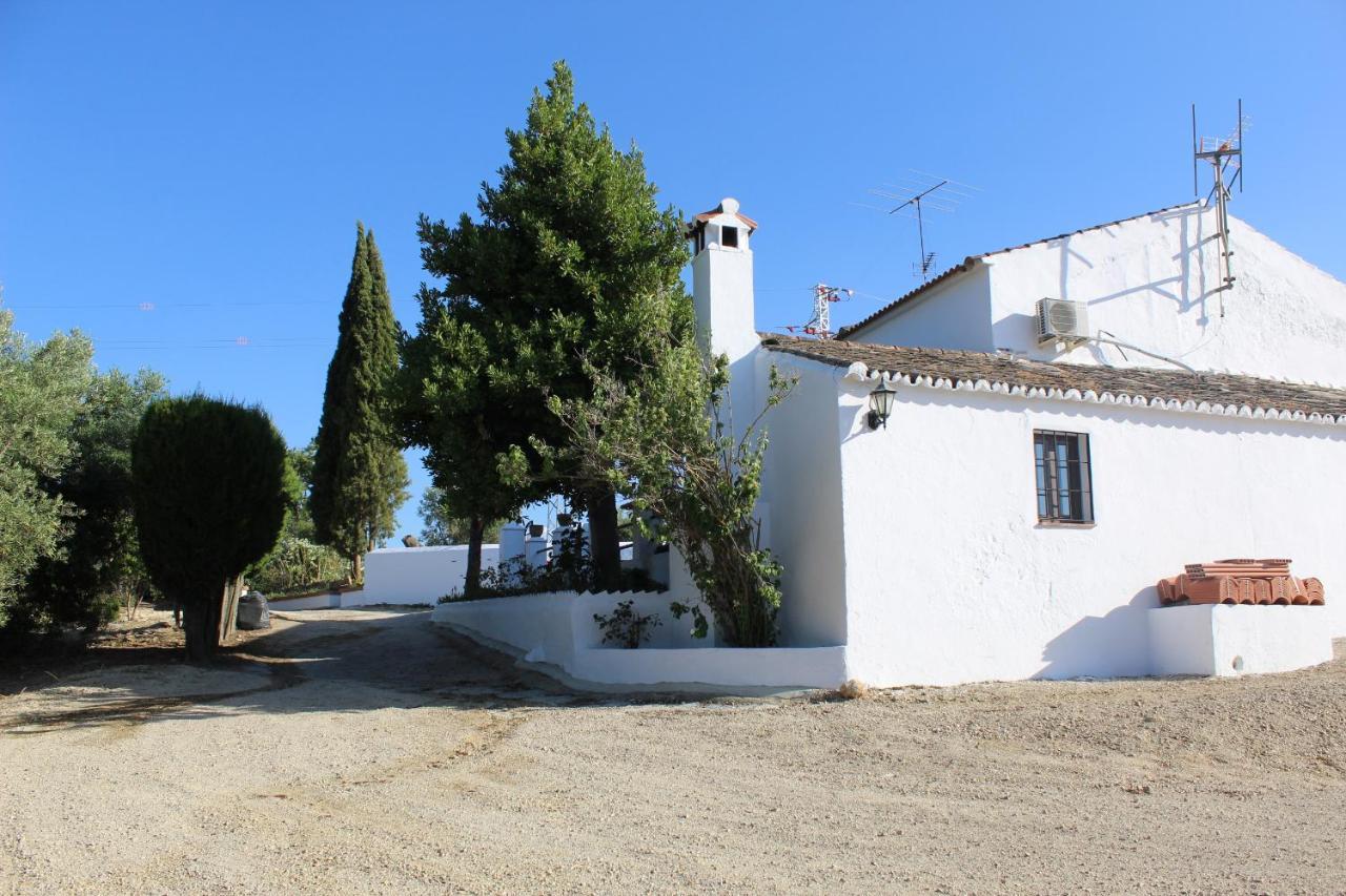 Casa Rural Faltriquera Setenil Setenil De Las Bodegas エクステリア 写真