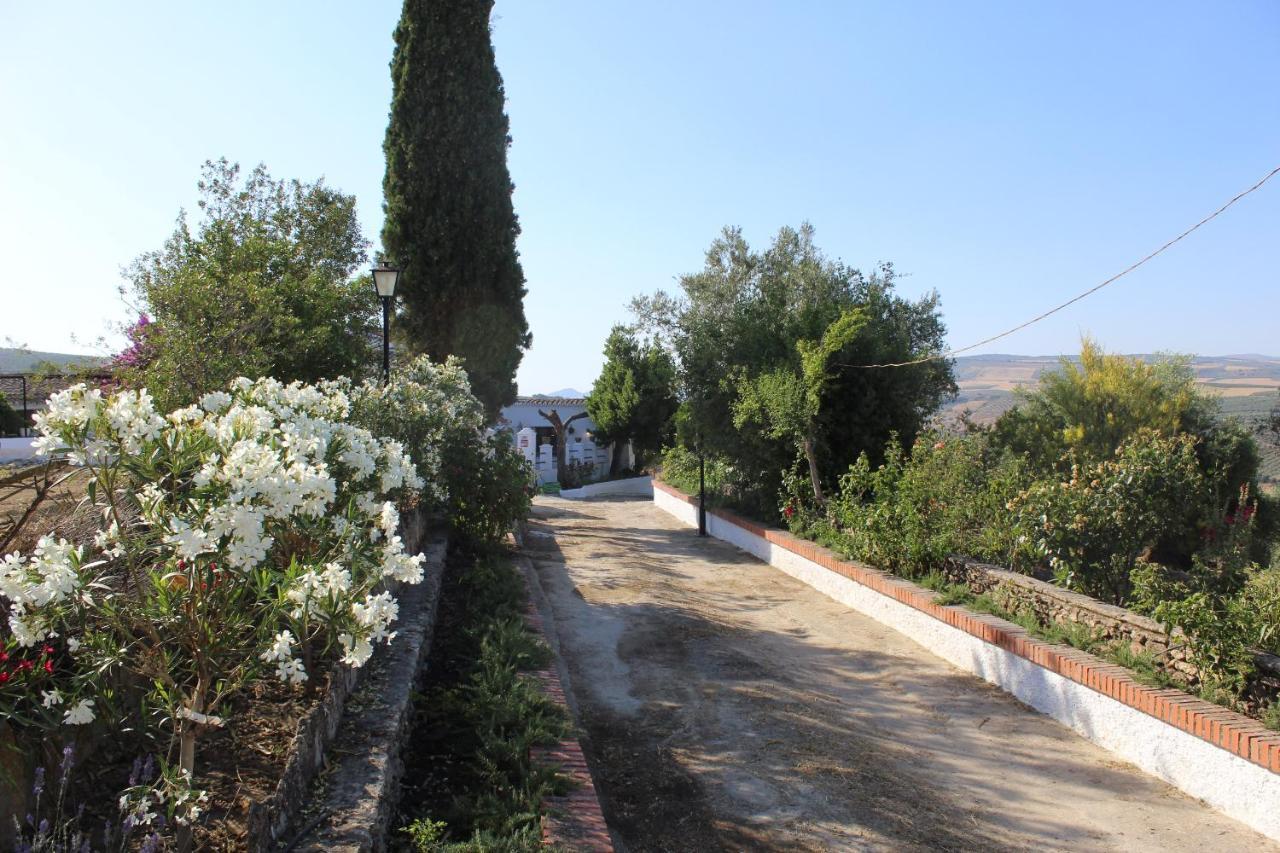Casa Rural Faltriquera Setenil Setenil De Las Bodegas エクステリア 写真