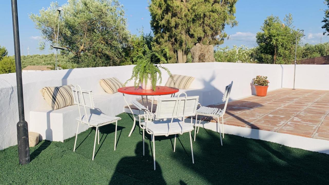 Casa Rural Faltriquera Setenil Setenil De Las Bodegas エクステリア 写真