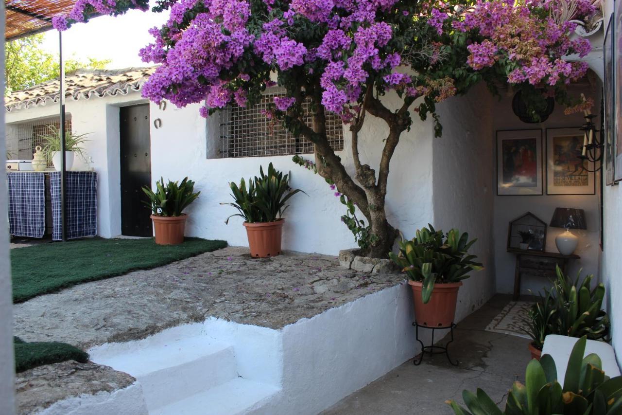 Casa Rural Faltriquera Setenil Setenil De Las Bodegas エクステリア 写真